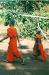 Young Buddhist Monks