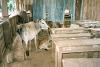 SHARED CLASSROOMS