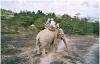 A Comfortable Trek