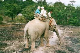 Elephant_Ride_Atiane.jpg
